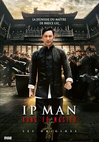 Ip Man Kung Fu Master